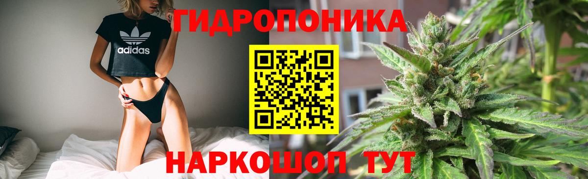 Конопля AK-47  Бошки марихуана THC 21%  Дербент  Вход с VPN  Шишки марихуана THC 21% 